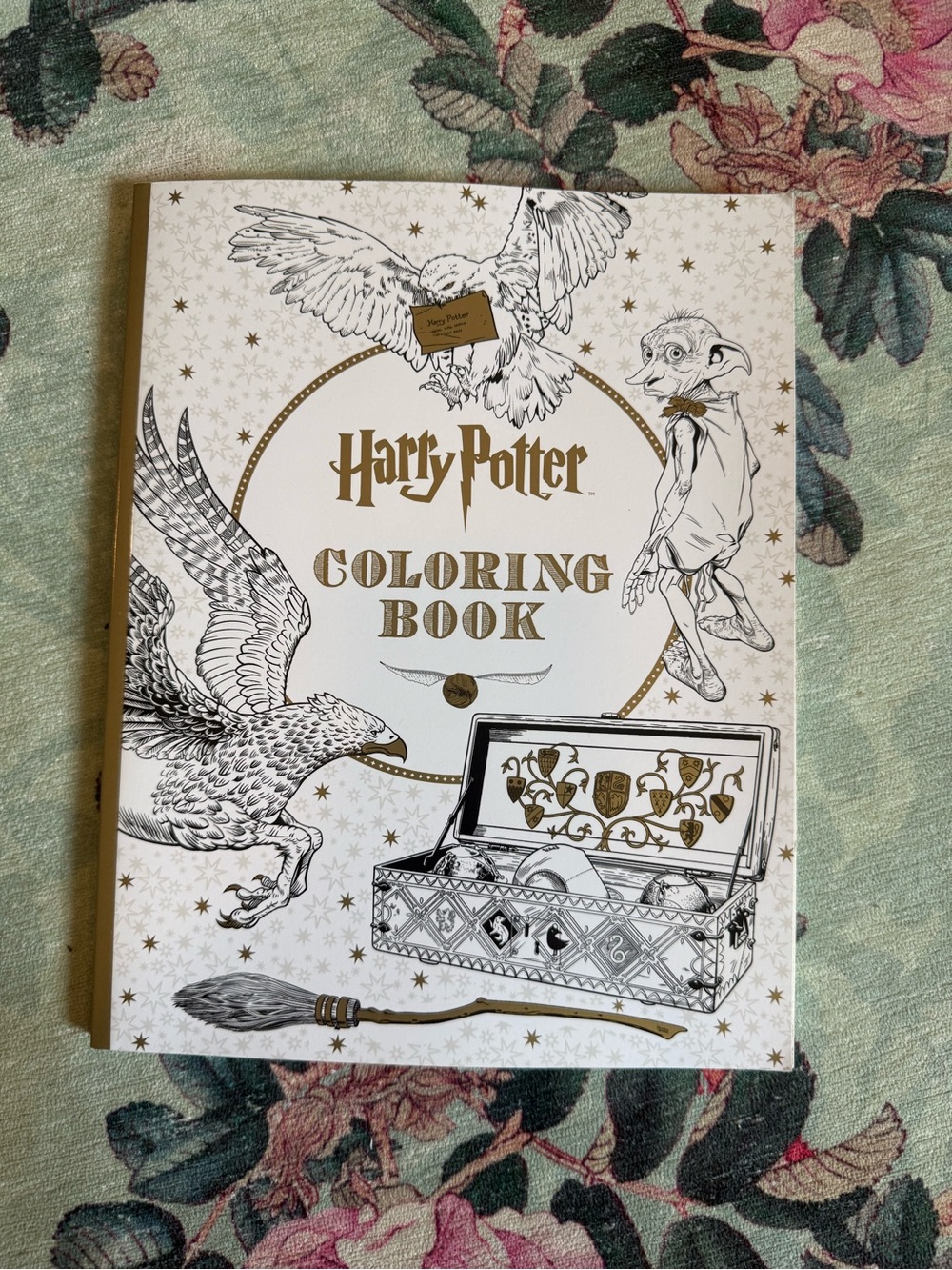 Harry Potter Coloring Book